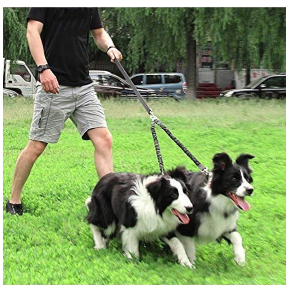Double leash, excellent condition!